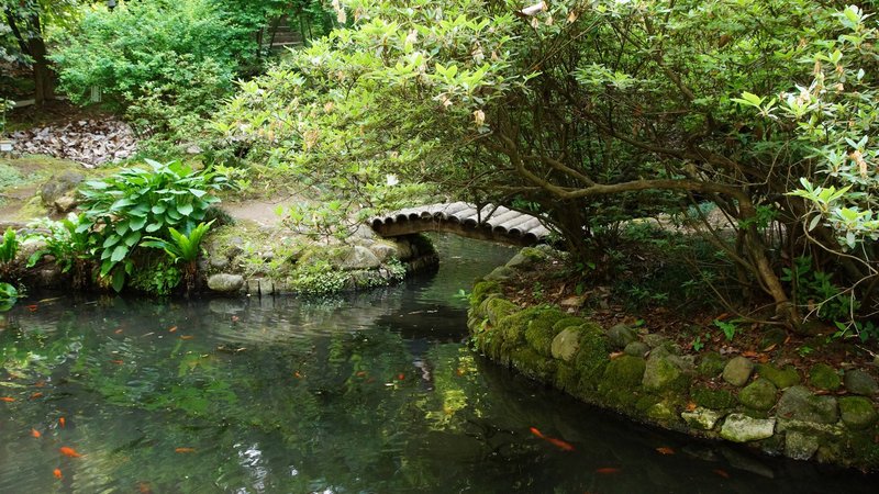 Батумский ботанический сад стал обладетелем туристического оскара
