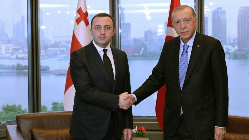 Победа Реждеп Тайип Эрдогана выгодна Грузии