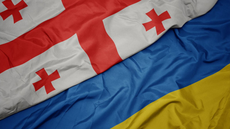 В Киеве остались недовольны прагматизмом Тбилиси
