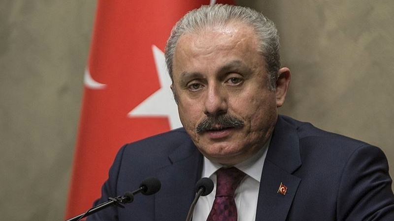 Глава Парламента Турции обсудит в Тбилиси вызовы регионального и глобального масштаба