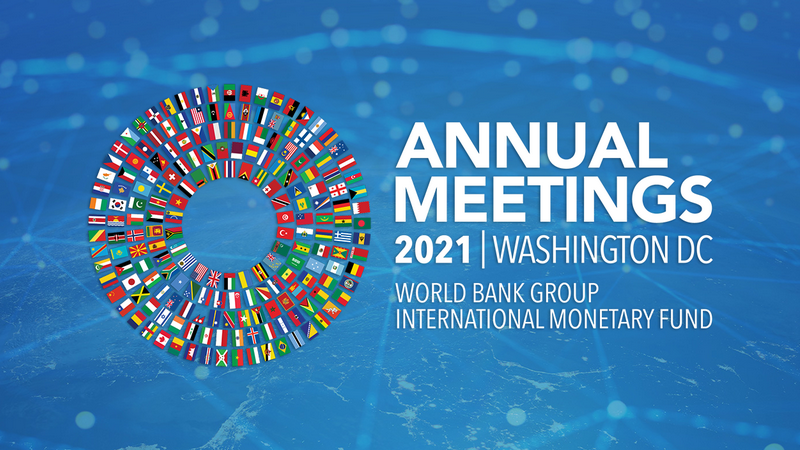 Глава НБГ обсудил на саммите WB и IMF грядущую валютную реформу