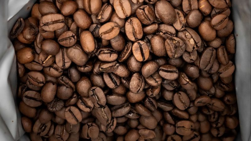Из-за смены климата кофе может стать дефицитным продуктом